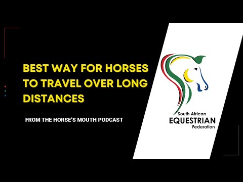 Best way for horses to travel over long distances