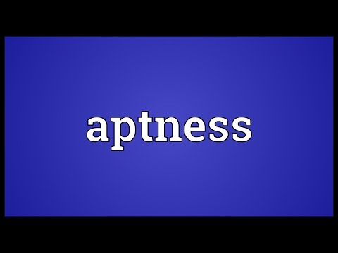Aptness Meaning