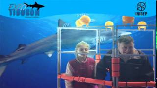 DIA 2 Expo Tiburon132