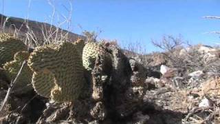 New Model Army-Too Close to the Sun, Tales of the Road-Vacation 2007- Part 2 - Death Valley