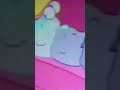 Sesame Street Mr Brush PAL Pitch