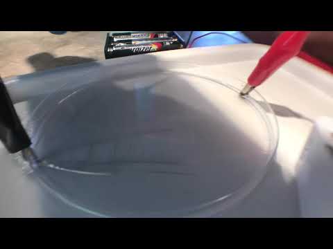 MEL Science Tin Dendrite Time Lapse