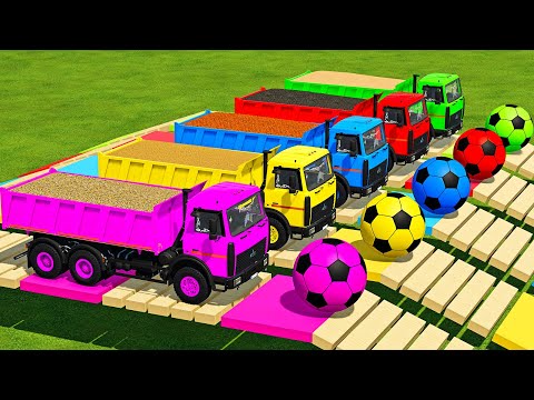 TRANSPORTING SUGARCANE, SORGHUM, WHEAT, SUNFLOWER & SOYBEAN WITH MAN & MAZ TRUCKS - FS22