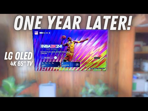 LG G2 OLED TV Gallery Edition After 1 Year Update! (2024)