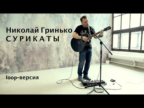 Николай Гринько - Сурикаты (loop-версия)