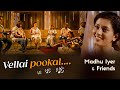 Vellai Pookal Madhu Iyer Rahman Madhuiyer Arrahman Arrahmansongs