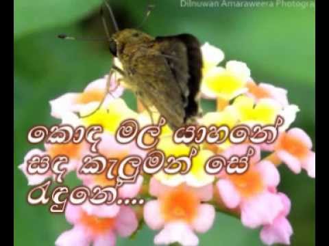 Ma Wage - Isuru Jayarathna