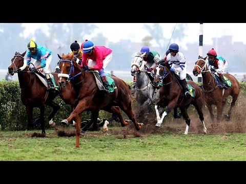 7th Race The Pakistan Derby 2022 Distance 2400 Meters Winner Purnoor ( Pakistan Horse Racing)