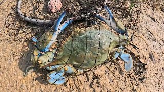 The Best Crabbing Spots in Texas: Hidden Gems Revealed