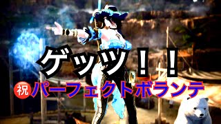 #280 MMORPG黒い砂漠 祝・パーフェクトボランテ。実況あり。