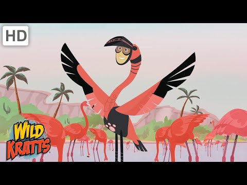 What Makes Flamingos Pink? | Wild Kratts