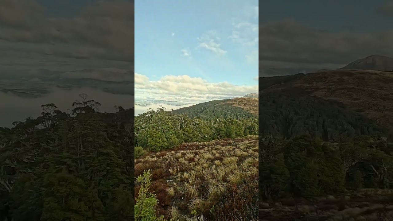 YouTube Short thumbnail