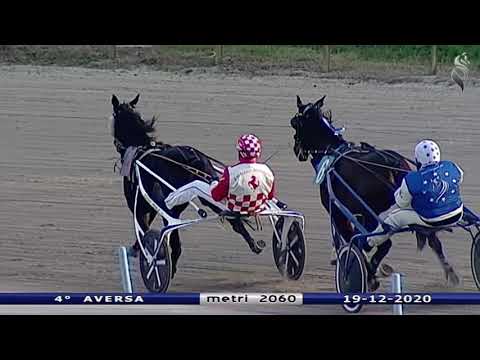 Aversa trotto 19 Dicembre 2020 - 4° Corsa