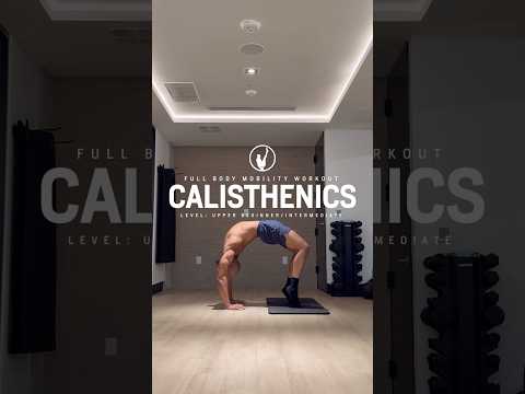 Full Body Calisthenics Mobility Workout