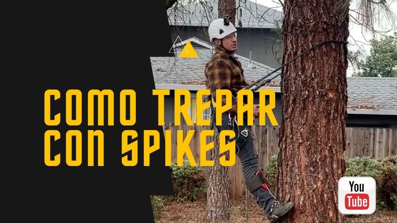 Como usar spikes para trepar arboles