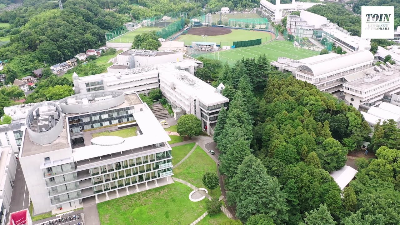 桐 蔭 横浜 大学