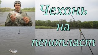 Как и чем ловить чехонь весной