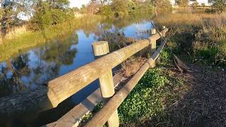 Fishing with a FOX! Part 4