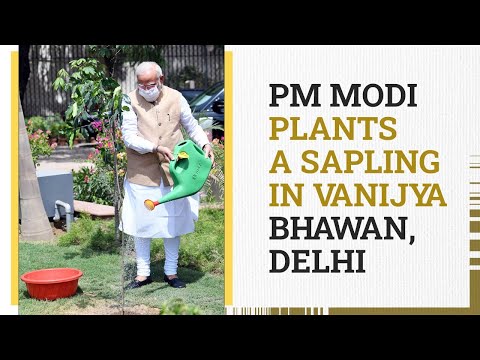 PM Modi Plants A Sapling In Vanijya Bhawan, Delhi l PMO
