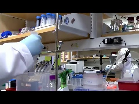 フロリダ中央部におけるコロナウイルスの局所的影響 (Local impacts of Coronavirus in Central Florida)