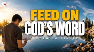 Find Joy in God’s Word