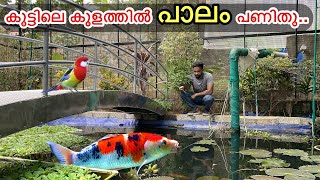 കുളത്തിലെ മീനുകളെ ചൂണ്ട ഇട്ട് പിടിച്ചാലോ ?? | Why I Caught Fishes From My Pond ??