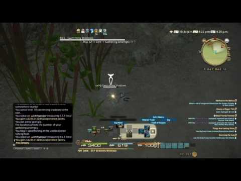 Final Fantasy XIV - Fisher L68 Quest - Catching Dafangshi HQ
