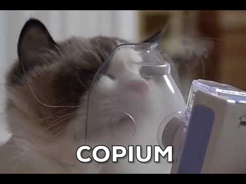 copium cat