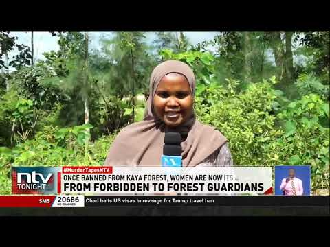 World Environment Day: Kilifi women break barriers to save forests