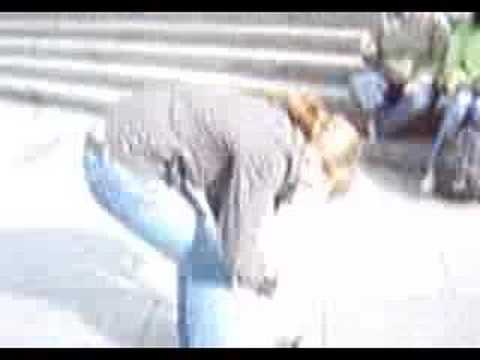 Klasse 8b in Köln xD