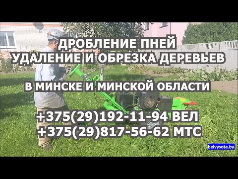 фото удаление пней 0