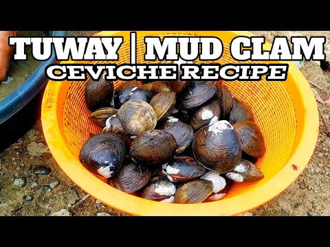 HOW TO PREPARE CLAM CEVICHE | KINILAW NA TUWAY RECIPE
