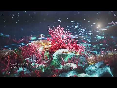 Video dự án 3