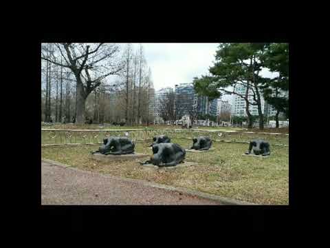 Cidade de Goyang ~ Parque do Lago Ilsan, Sakura, Yoshimi