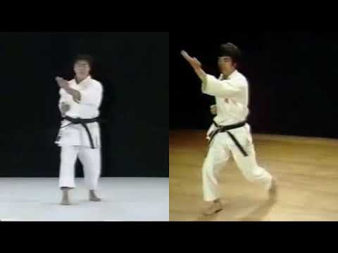 Kata comparison: Shito-Ryu Gojushiho and Shotokan Gojushiho Dai (SKIF)
