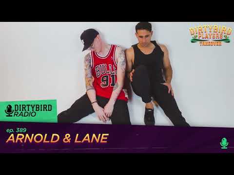 Dirtybird Radio 389 - Arnold & Lane