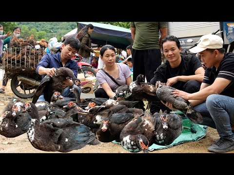 Zon brought the ducks to the market to sell and cooked duck stew according to a traditional recipe.