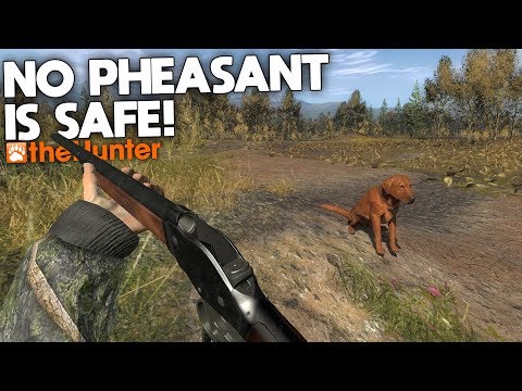 No Pheasant is Safe! | theHunter Classic