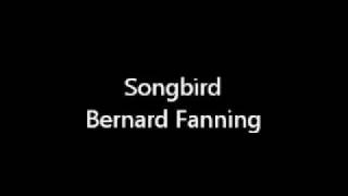 Songbird - Bernard Fanning