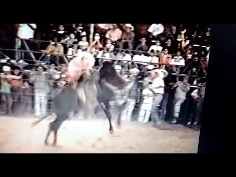 CLAUDEMIR PARDINI X  TOURO BERIMBAU JC RODEIO, RODEIO DE IRAPURU 1994