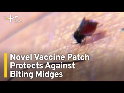 Novel Vaccine Patch Protects Against Biting Midges | TaiwanPlus News