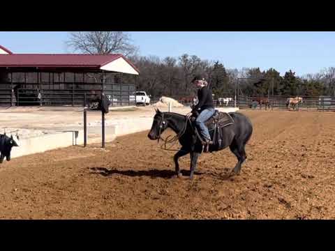 Ooh Baby Baby - High Brow Cat x Special Nu Baby