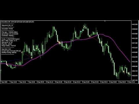Video AbouAminALG02 5