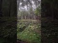 Big Ass Drop