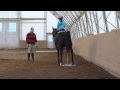 The Horse Had To Use The Bathroom