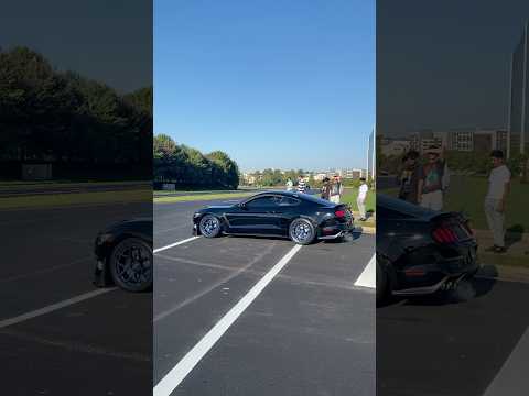WHIPPLED SHELBY GT350 ACCELERATION!! #mustang #whipplesupercharger #shelby #exhaust #shorts