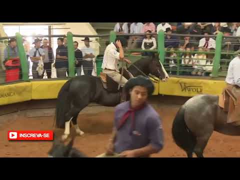Freio de Ouro 2018 - Colibri Matrero Campeão