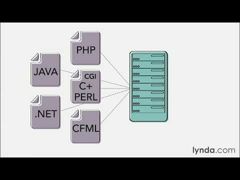 Web Development Tutorial - Server-side scripting