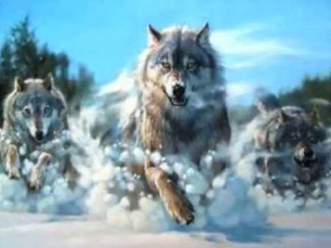 STEVE GORDON & DEBORAH MARTIN - Coming Of The Wolf