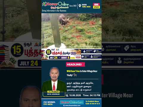 Wild Gaur Attempts to Enter Village Near Thally, Forest Officials Respond